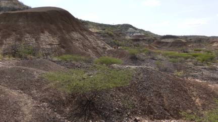 Deposits at Buluk. A locality known as "Dead Elephant Valley."